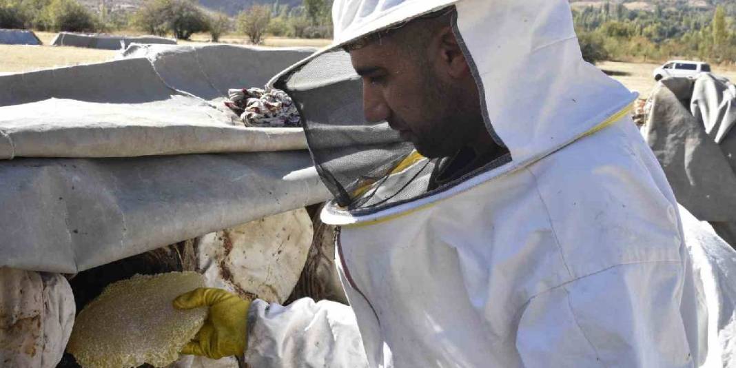 3 kere dünya birinciliği aldı! Meşhur balda hasat devam ediyor: Kilosu 3.000 TL’den yoğun talep görüyor 3
